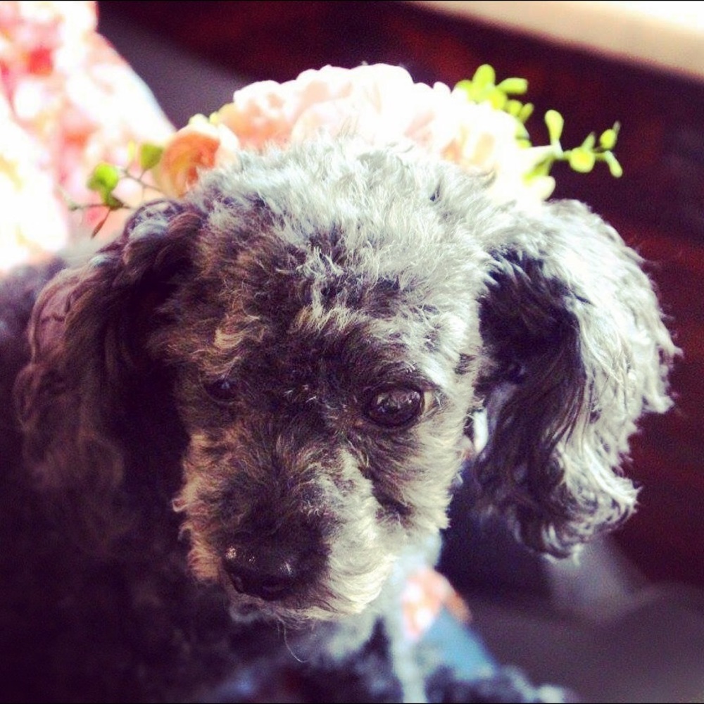 Vintage Jewelry + Elegant black dresses & More!